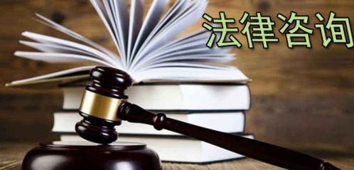 天鸟律师法律咨询安卓版下载指南 轻松获取v1.12.5版本